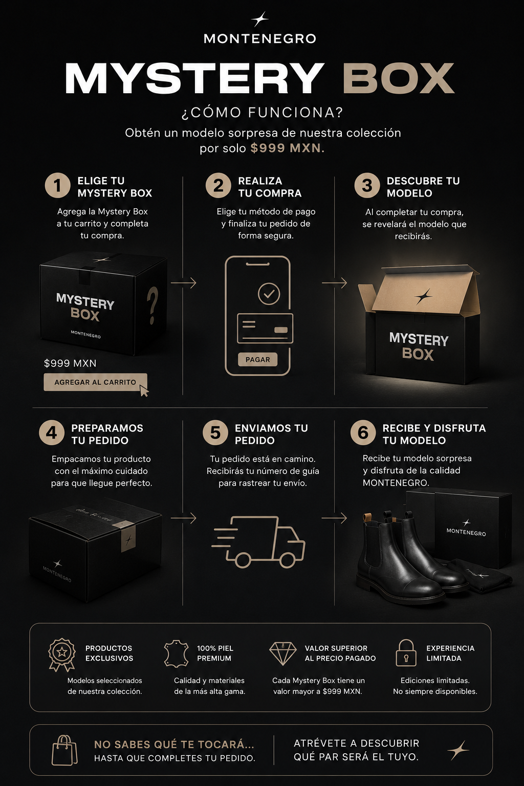 Mystery Box (MODELOS EXCLUSIVOS A $999)