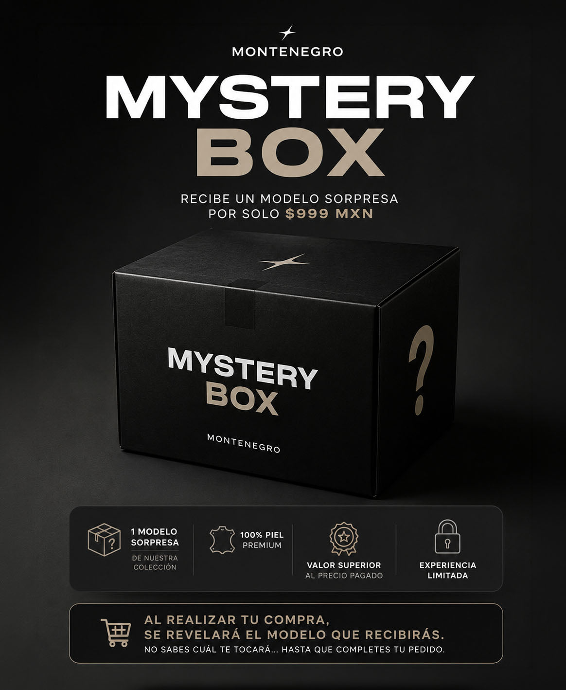 Mystery Box (MODELOS EXCLUSIVOS A $999)